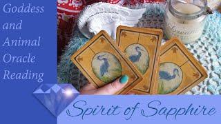 #ASMR lo-fi goddess and power animal whispered Oracle card reading for tingles and guidance
