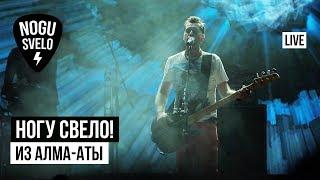 Ногу Свело! - Из Алма-Аты (Live)