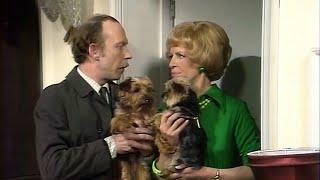 George & Mildred - S01E07: The Little Dog Laughed (1976)