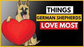 10 Things German Shepherds Love the Most