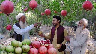 Tagab Seedless Pomegranate | Kapisa Afghanistan | د تگاب انار