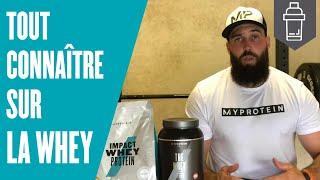 WHEY PROTEINE : Tout sur la protéine whey (vu par un nutritionniste)