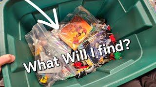 What Will I Find in this 100$ Lego Bionicle Haul?