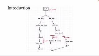 [實用問題臨床模組] metabolic acidosis