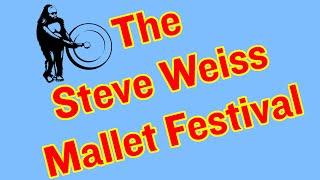 Spotlight on the 2022 Steve Weiss Music Mallet Festival