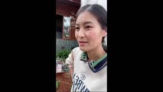 阿偉燕子旅行記