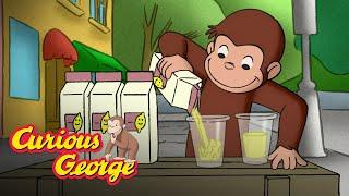 Make Lemonade!  Curious George Kids Cartoon  Kids Movies Videos for Kids