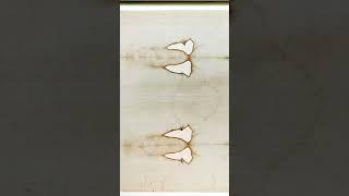 The Shroud Of Turin New Evidence Explained (Part 1/2)