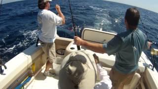 Paul Wallner's Mahi Fishing Trip