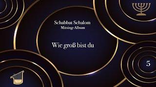 Martin Ben David - Wie groß bist du (Schabbat Schalom Mitsing-Album)