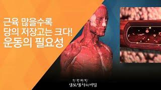 근육 많을수록 당의 저장고는 크다! 운동의 필요성 - (2016.10.5_596회 방송)_고기에 대한 오해와 진실