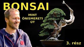 A bonsai, mint önismereti út - 3. rész: beszélgetés Burschl József bonsai mesterrel