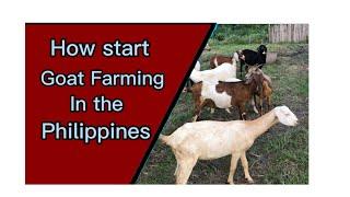 How To start Goat Farming l Goat Farming Part 17