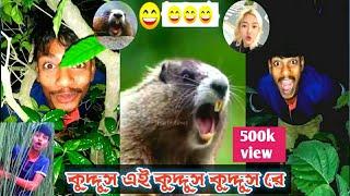 কুদ্দুস এই কুদ্দুস কুদ্দুস রে | Kuddus Ra - Tik Tok Vairal | Sujun Midea