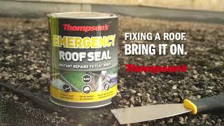 Thompson's Emergency Roof Seal