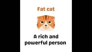 Slang: Fat cat (meaning, examples)