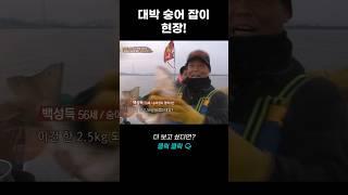 대박 숭어 잡이 현장! | 리얼다큐 숨