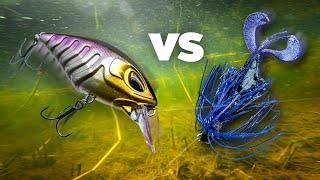 Giant perch from shore: Finesse or power-fishing? (English subtitles)