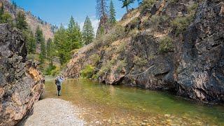 My FAVORITE Creek To Trout Fish! (Backcountry Fly Fishing)