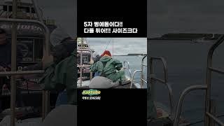 9/25 스미마셍 꺼져주세요???배에서 맞을뻔 했습니다ㅠ   #fishing #낚시 #바다