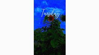 Tuesday.. || @Mitesh_8175__sonu Reels viral video..!! || #Shorts
