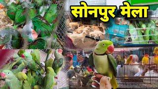 Sonpur Mela 2024 || सोनपुर मेला चिड़िया बाजार | Birds Market Market Sonpur | Bihar Sonpur Mela