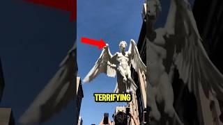 Top 5 Terrifying Birds Sound In The World 🫣
