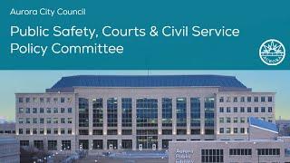 Public Safety, Courts & Civil Service Policy Committee - November 2024