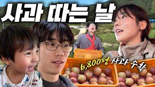 6,800평 사과 농장가서 사과 따기ㅣ300평당 수익공개ㅣ시골브이로그ㅣ바쁜 수확철ㅣ영농부부ㅣ현장멘토찾기ㅣ탄탄대로ㅣ작물고민ㅣ일일체험ㅣ시골육아ㅣ농약방친구ㅣ삼겹살먹방ㅣ사과밭