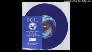 Coil ‎– Theme From Blue II