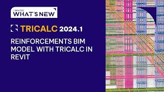 GRAITEC Tricalc 2024: Create BIM model with reinforcements with Tricalc