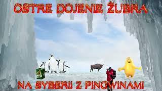 █▬█ █ ▀█▀  MIXTAPE DO DOJENIA ŻUBRA NA SYBERII Z PINGWINAMI *LODOWCE TRZĘSĄ ZIEMIĄ*