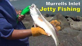 MURRELLS INLET JETTY FISHING (Near Myrtle Beach, South Carolina)