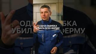 Одна ТУПАЯ ОШИБКА погубила всю ферму. Никогда так не делайте! #бизнес #узв #рыба #рыбы #бизнесидеи