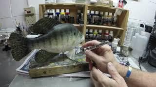 Time Lapse  painting