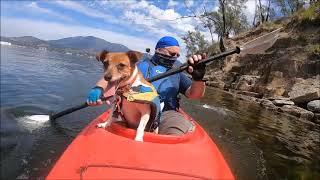 Kayaking Derwent River Geilston Bay Trip 772 13 2 24