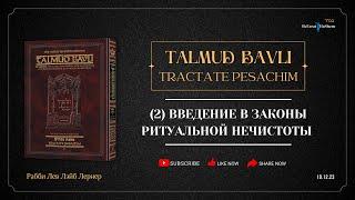 Талмуд Бавли | (2) Введение в Законы Ритуальной Нечистоты | Рабби Лев Лэйб Лернер |