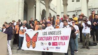 Los Angeles passes sanctuary city vote as migrant activists panic | REUTERS