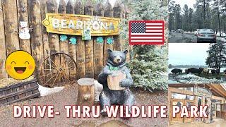 ARIZONA VLOG   BEARIZONA WILDLIFE PARK, ARIZONA, USA+SELF GUIDED,WALK THRU & DRIVE THRU @indaynamo