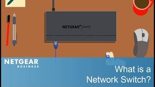 What is a Network Switch? | NETGEAR Business