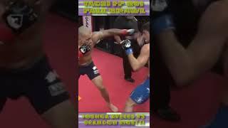 TKO Punches TPF 29 - Joshua Aveles vs Brandon Ricetti #joshuaaveles #shorts #mma #tpf