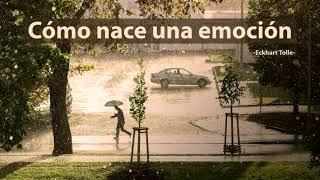 COMO NACE UNA EMOCIÓN  - Eckhart Tolle