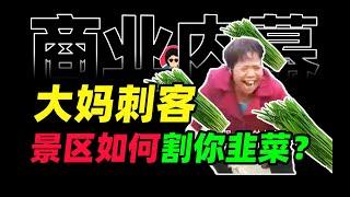 坏了，我中了导游大妈韭菜连环计，，，【牛顿&商业内幕】