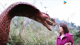 The woman's beloved hydra suddenly attacks her uncontrollably| Variation Hydra | YOUKU MONSTER MOVIE