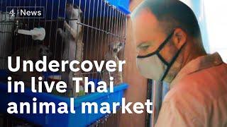 'Another Wuhan in the making?': Undercover in a Thailand market selling live animals