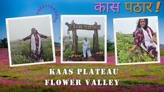 Kas Pathar Satara 2024 | How to reach Kaas Plateau by public transport | Online Booking 