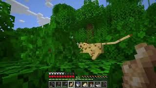 Ocelot guide, where to find this cat that can't be tamed - Minecraft 1.21