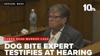 Defense's dog bite expert testifies at pretrial hearing in Karen Read murder case