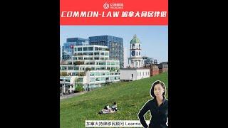 common-law加拿大同居伴侶