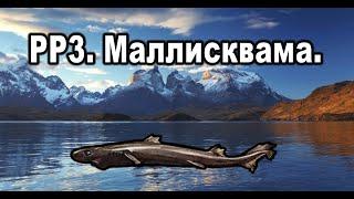 РР3. (Russian Fishing). Маллисквама. Королевская коллекция.